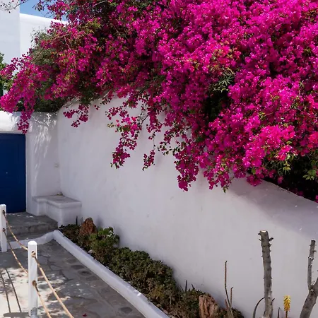 Olive Tree, 2brm With Pool Апартаменты *